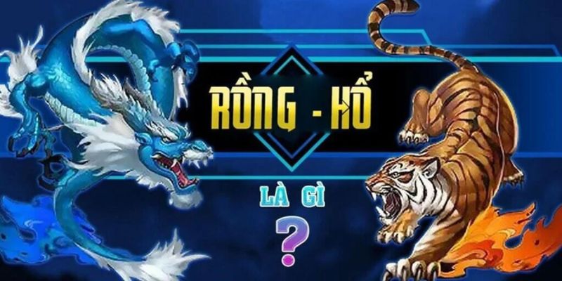 Đôi nét về game bài Rồng Hổ tại nhà cái 33WIN 