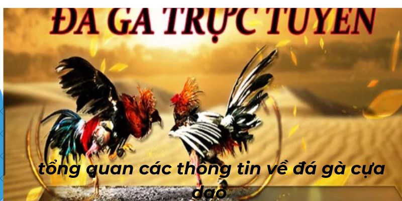 Tổng quan các thông tin sơ lược về loại hình đá kê cựa dao
