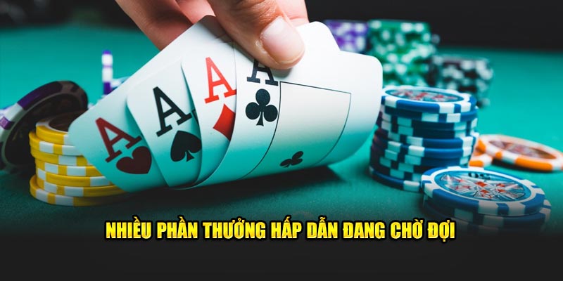 Nhiều phần thưởng hấp dẫn